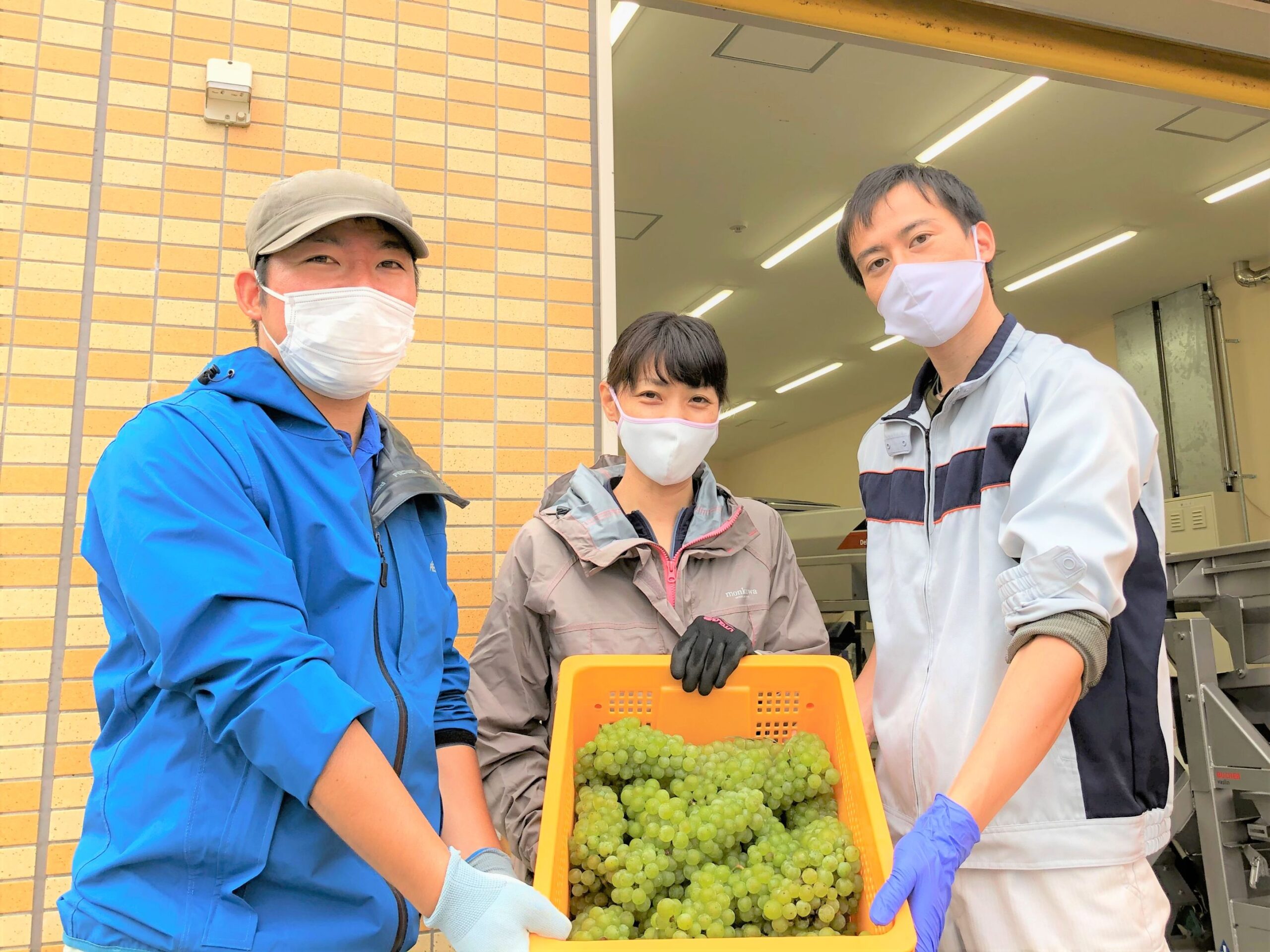 【ワイナリー紹介③サンサンワイナリー】信州の恵み、金賞受賞の日本ワイン ｜としま超輪飲祭