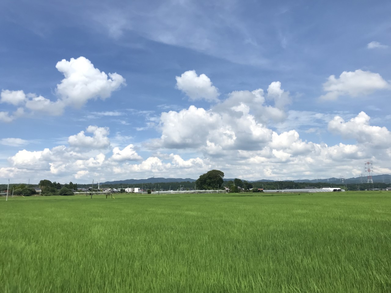 【天鷹】に合うおつまみ・料理