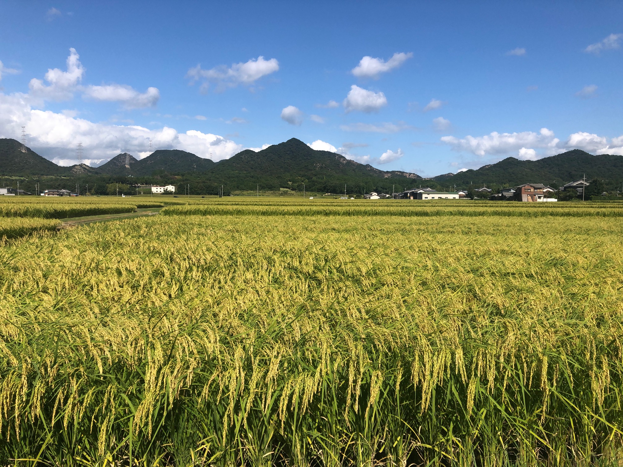 【米のささやき】に合うおつまみ・料理