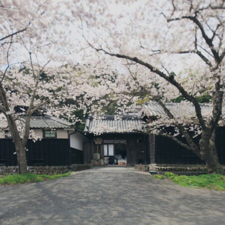 【出展酒蔵紹介㉝株式会社 土井酒造場】静岡酵母が生む、穏やかで飽きない日本｜としま超吟醸祭