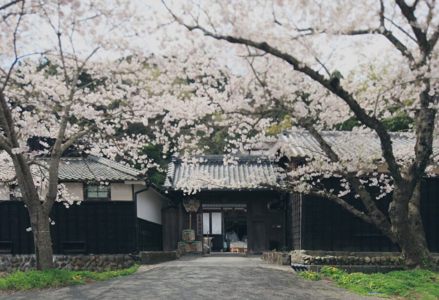 【出展酒蔵紹介㉝株式会社 土井酒造場】静岡酵母が生む、穏やかで飽きない日本｜としま超吟醸祭