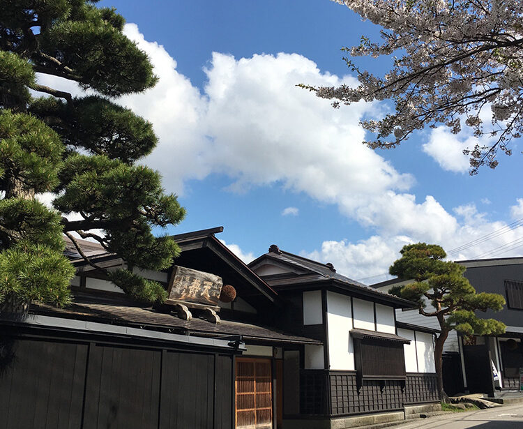 【出展酒蔵紹介㉖天寿酒造株式会社】自然と伝統が織りなす、天寿の美酒日本酒｜としま超吟醸祭